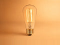 No. 2 — 40W incandescent bulb, lit, on warm orange