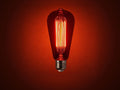 No. 3 — 25W deep amber incandescent bulb, lit